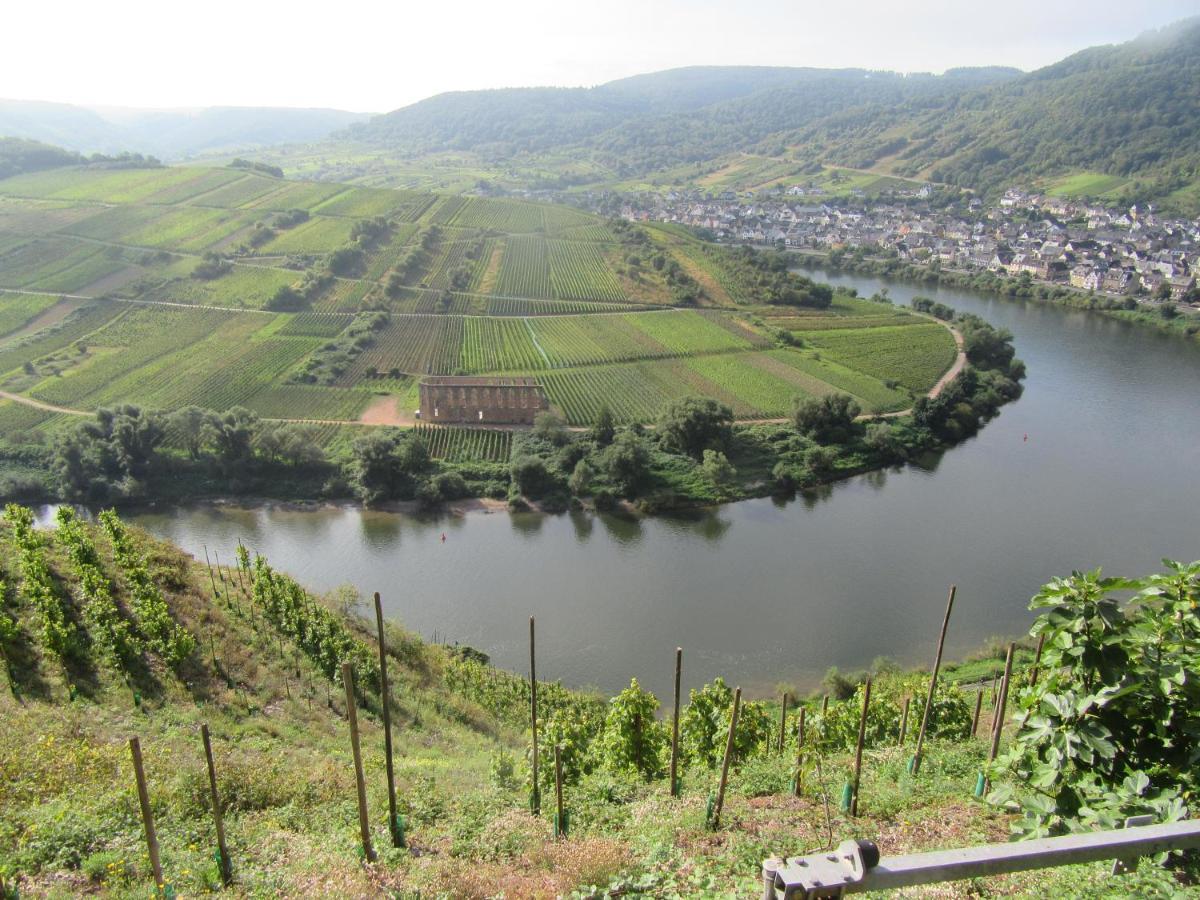 Ferienhaus Leopold Mit Burgblick An Der Mosel Burgen  Exterior photo